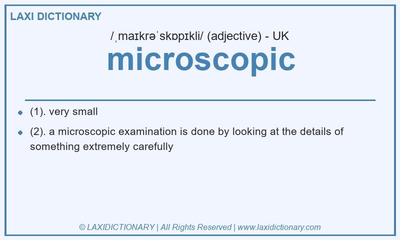 Definition microscopic in British English