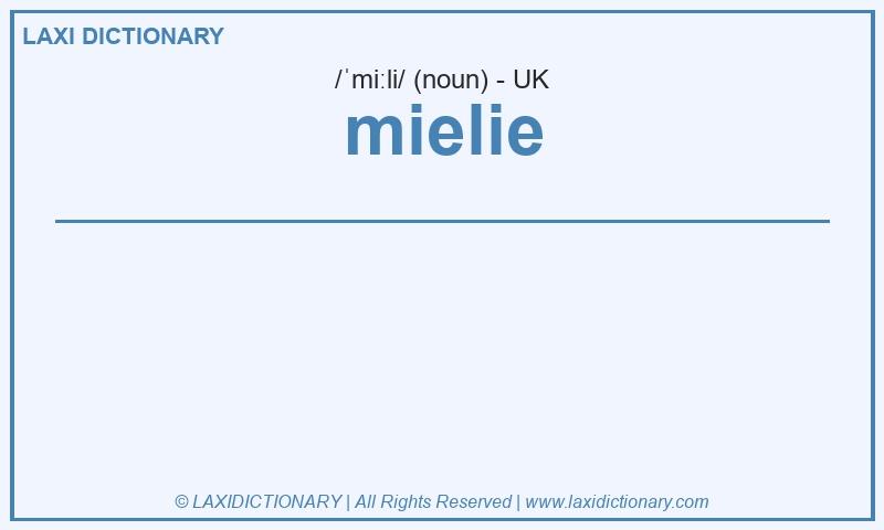 Definition mielie in British English