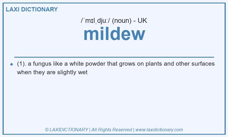 Definition mildew in British English