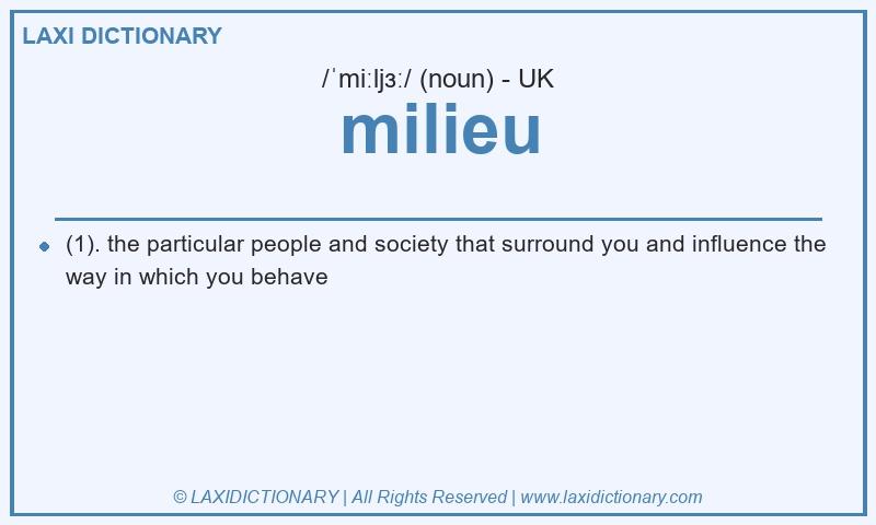 Definition milieu in British English