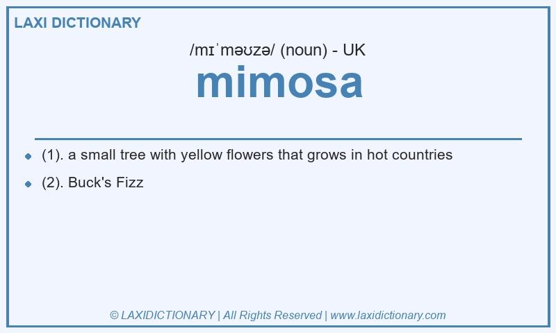 Definition mimosa in British English