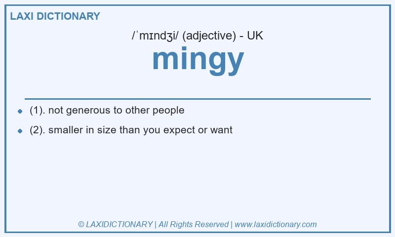 Definition mingy in British English
