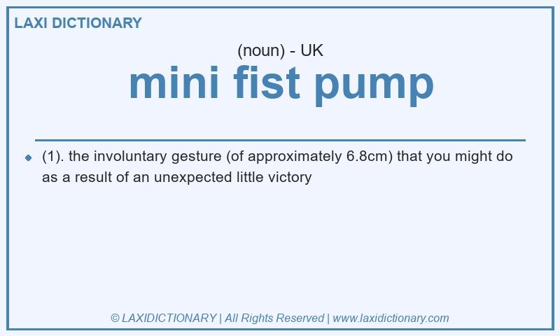 Definition mini fist pump in British English