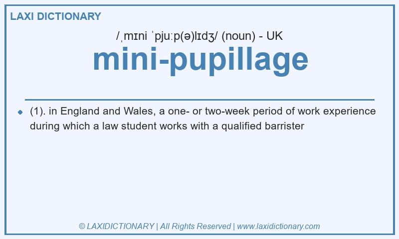 Definition mini-pupillage in British English