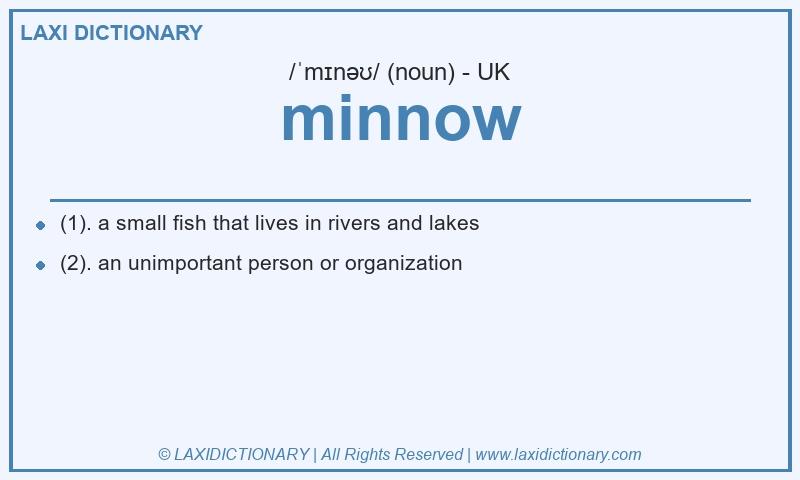 Definition minnow in British English