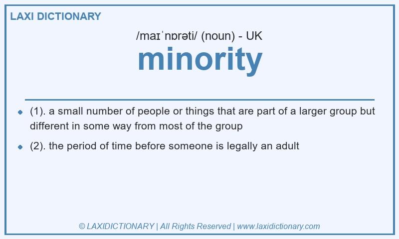 Definition minority in British English