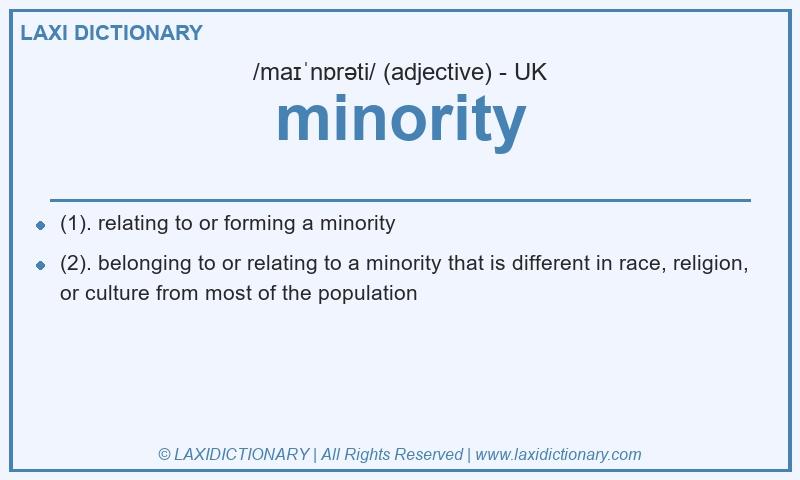 Definition minority in British English