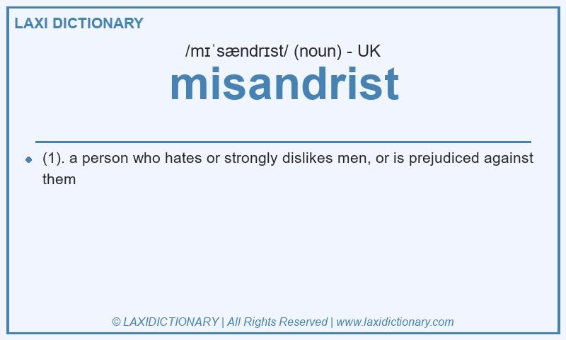 Definition misandrist in British English