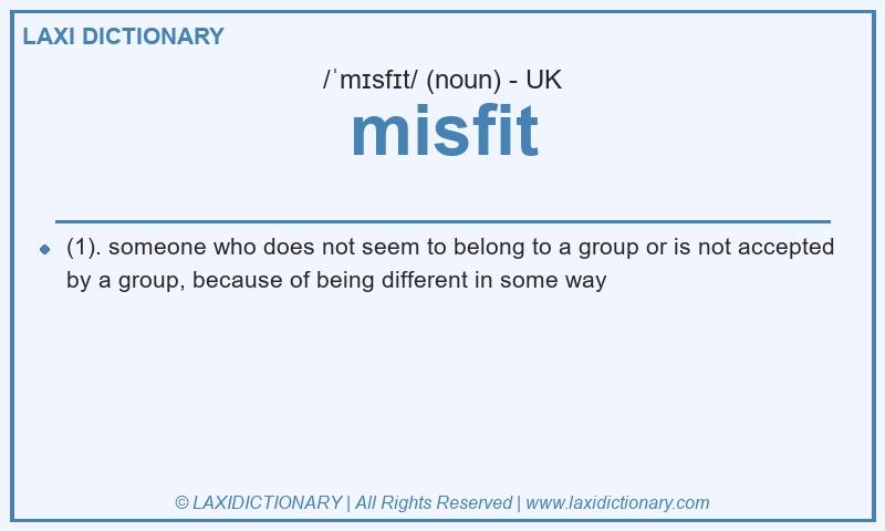 Definition misfit in British English