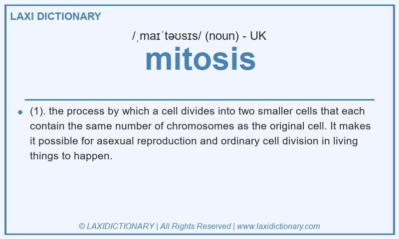 Definition mitosis in British English