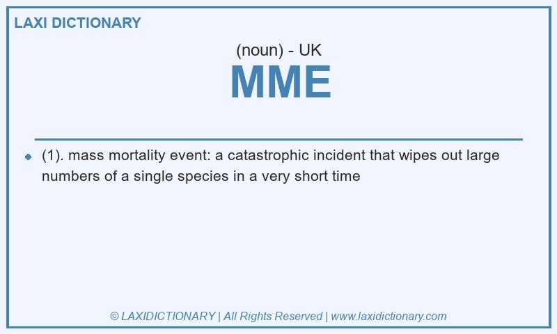 Definition MME in British English