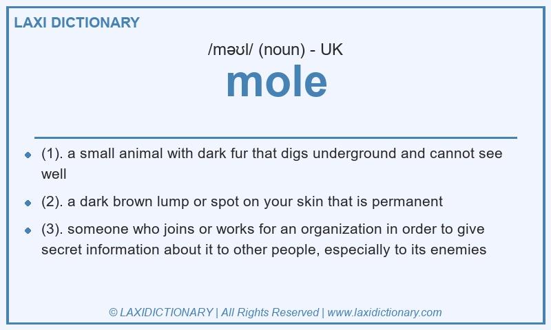 Definition mole in British English