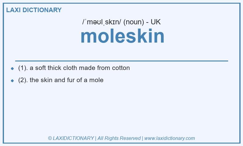 Definition moleskin in British English
