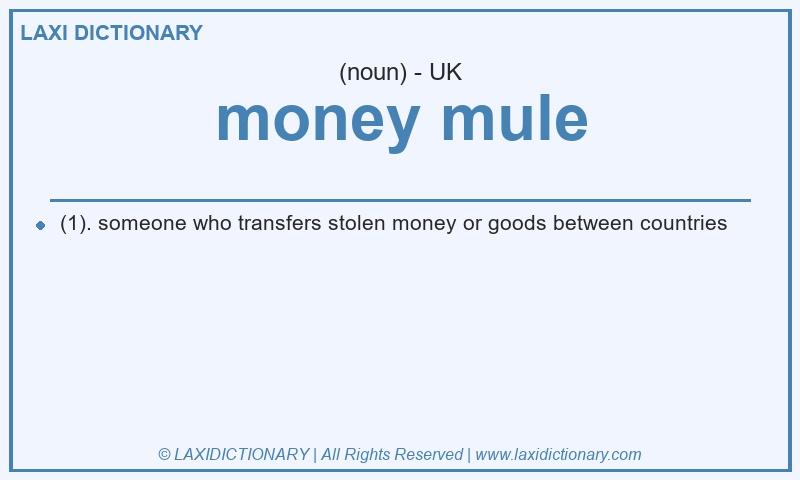Definition money mule in British English