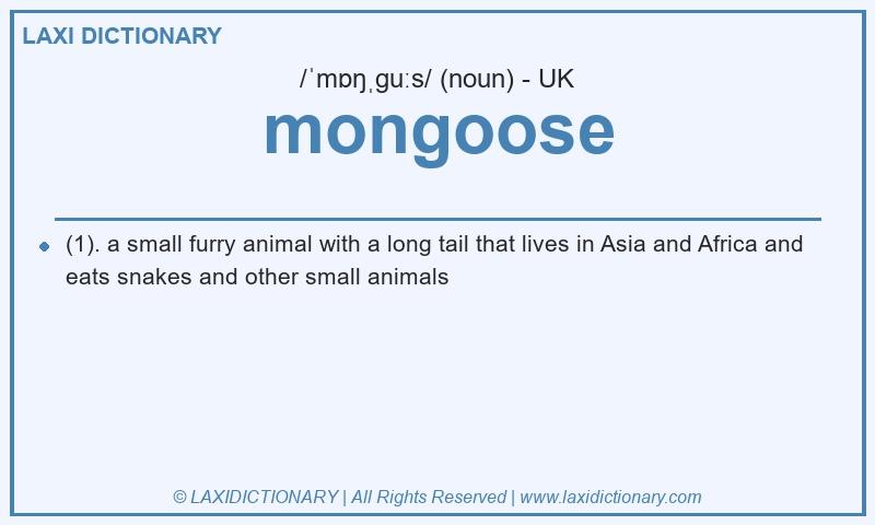 Definition mongoose in British English