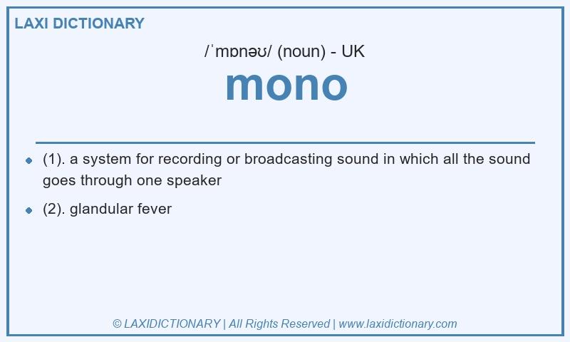Definition mono in British English