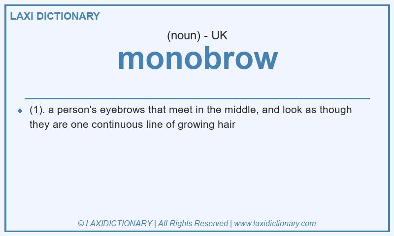 Definition monobrow in British English