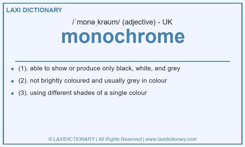 Definition monochrome in British English
