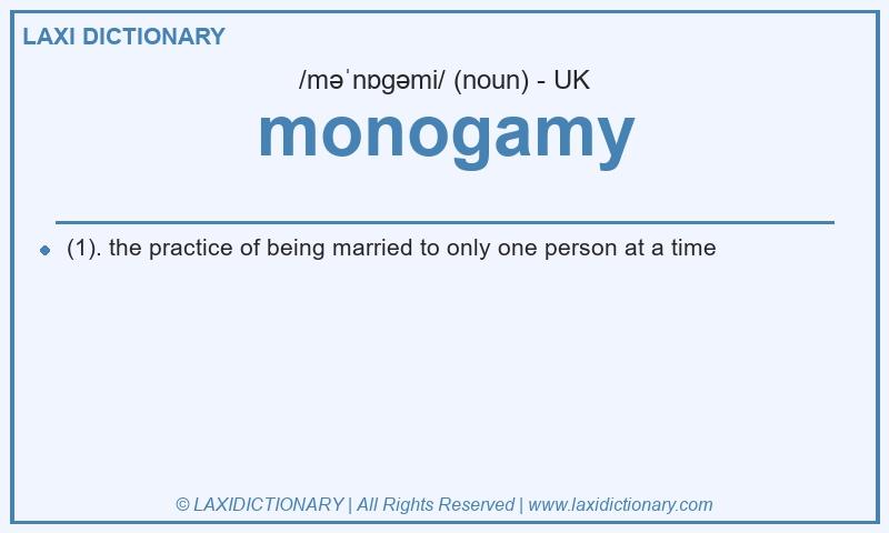 Definition monogamy in British English