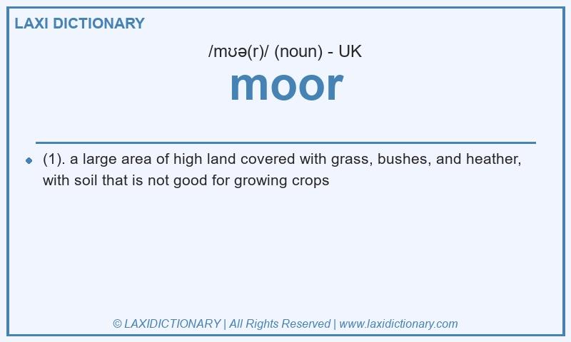 Definition moor in British English