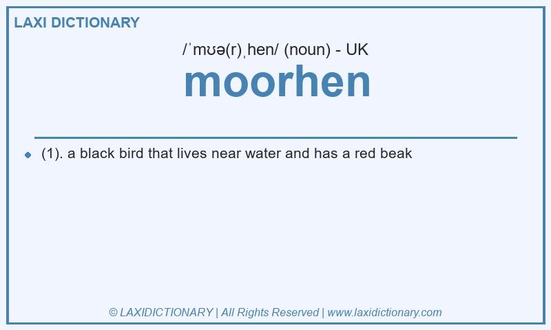 Definition moorhen in British English