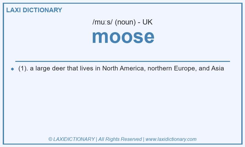 Definition moose in British English