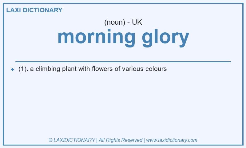 Definition morning glory in British English