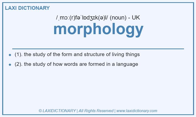 Definition morphology in British English
