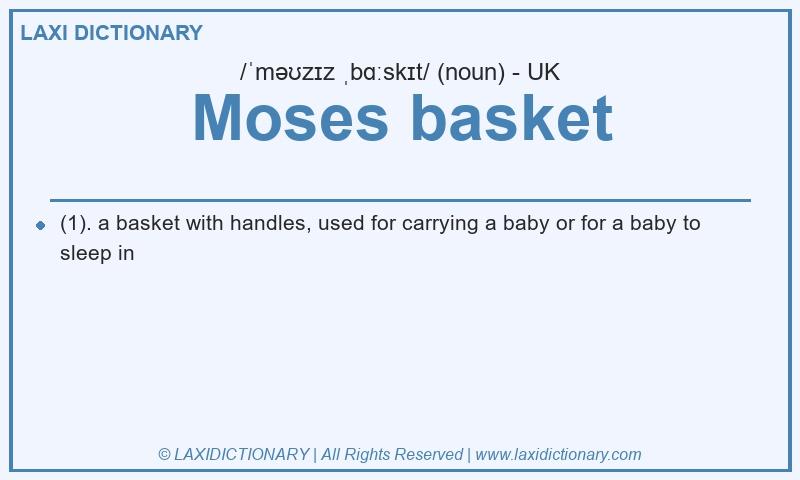 Definition Moses basket in British English