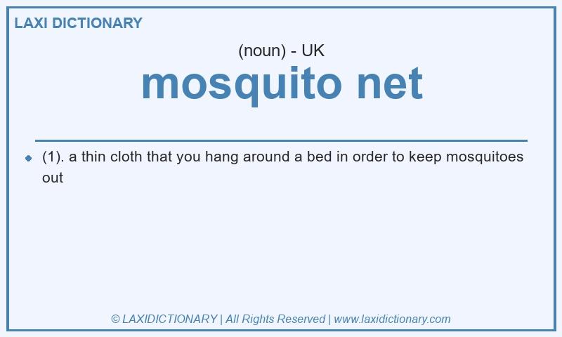 Definition mosquito net in British English