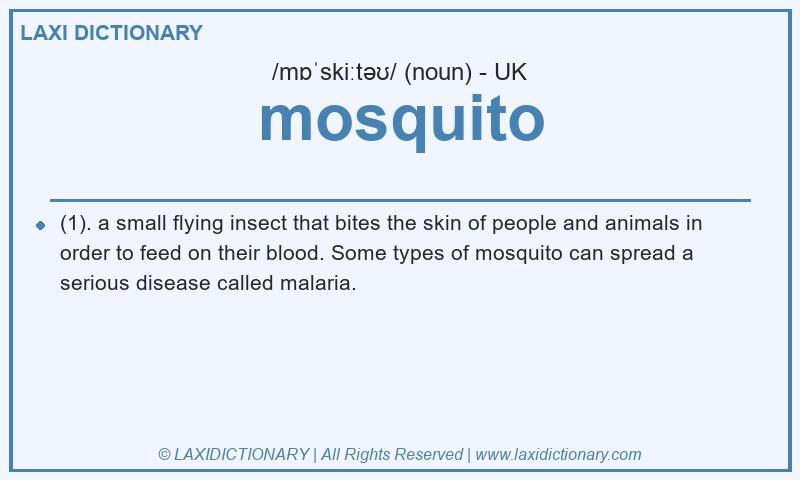 Definition mosquito in British English