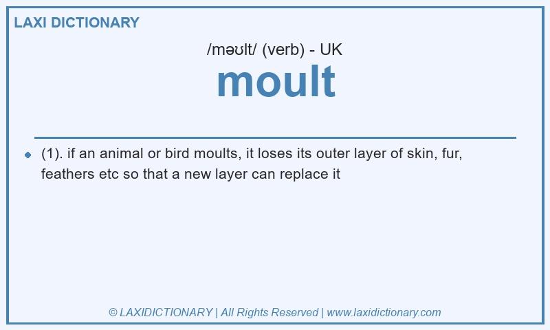 Definition moult in British English