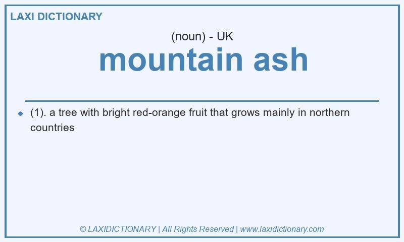 Definition mountain ash in British English
