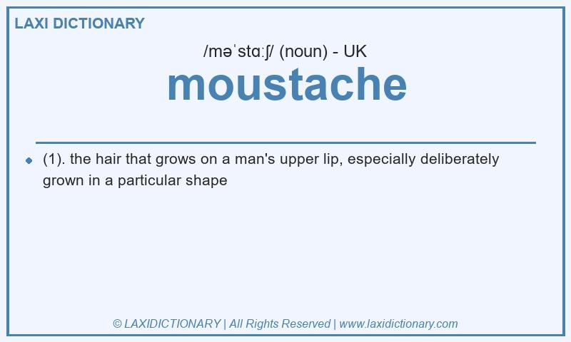 Definition moustache in British English
