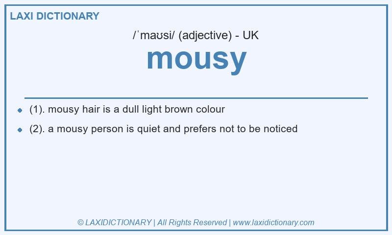 Definition mousy in British English