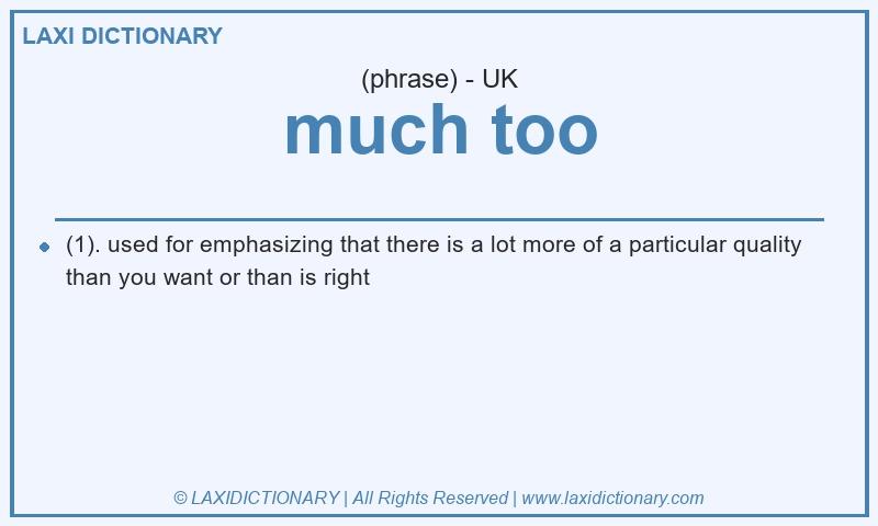 Definition much too in British English