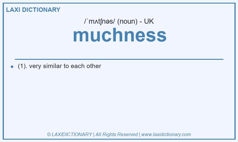 Definition muchness in British English