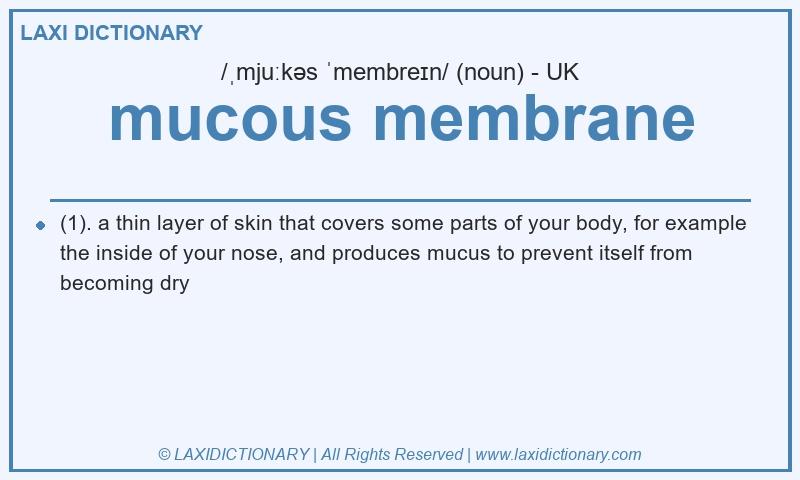 Definition mucous membrane in British English