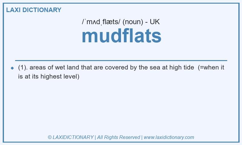 Definition mudflats in British English