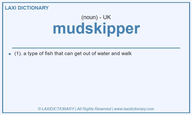Definition mudskipper in British English