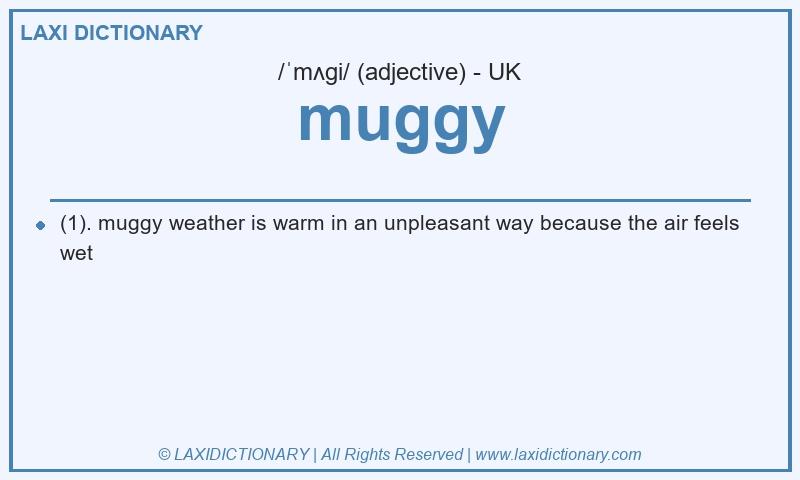 Definition muggy in British English