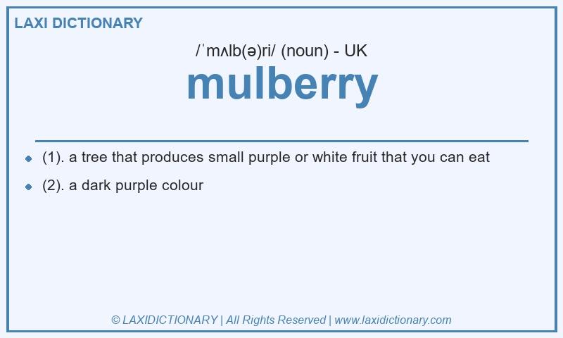 Definition mulberry in British English