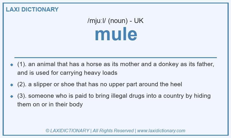 Definition mule in British English