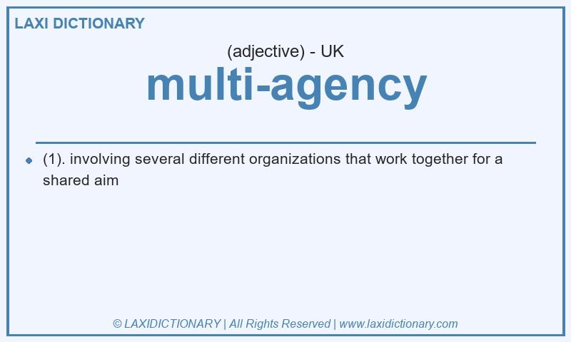 Definition multi-agency in British English