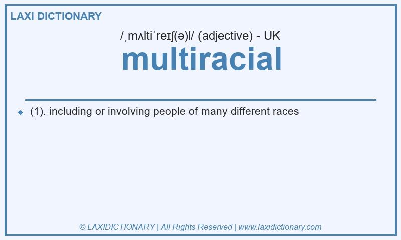 Definition multiracial in British English