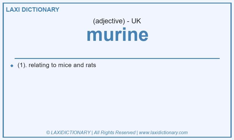 Definition murine in British English