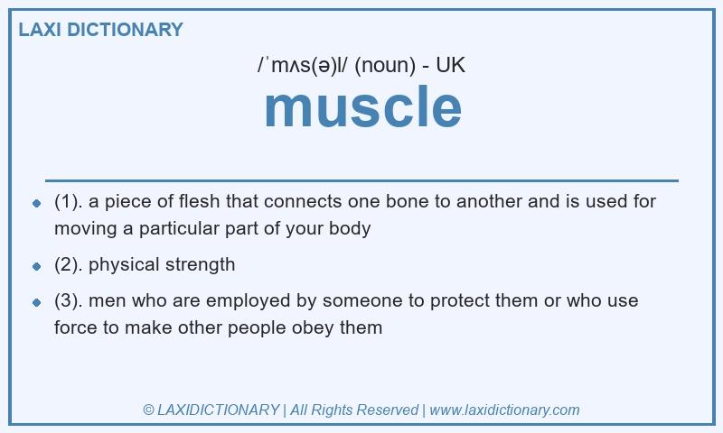 Definition muscle in British English