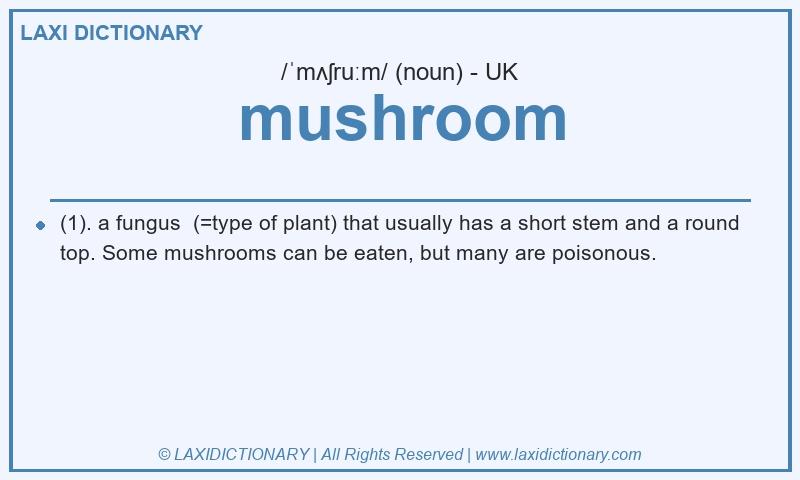 Definition mushroom in British English