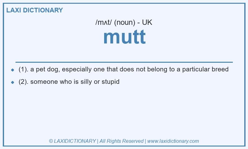 Definition mutt in British English