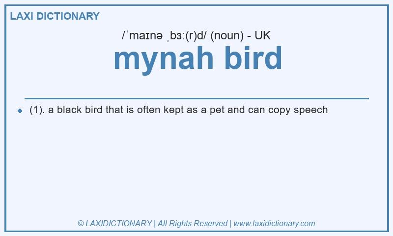 Definition mynah bird in British English